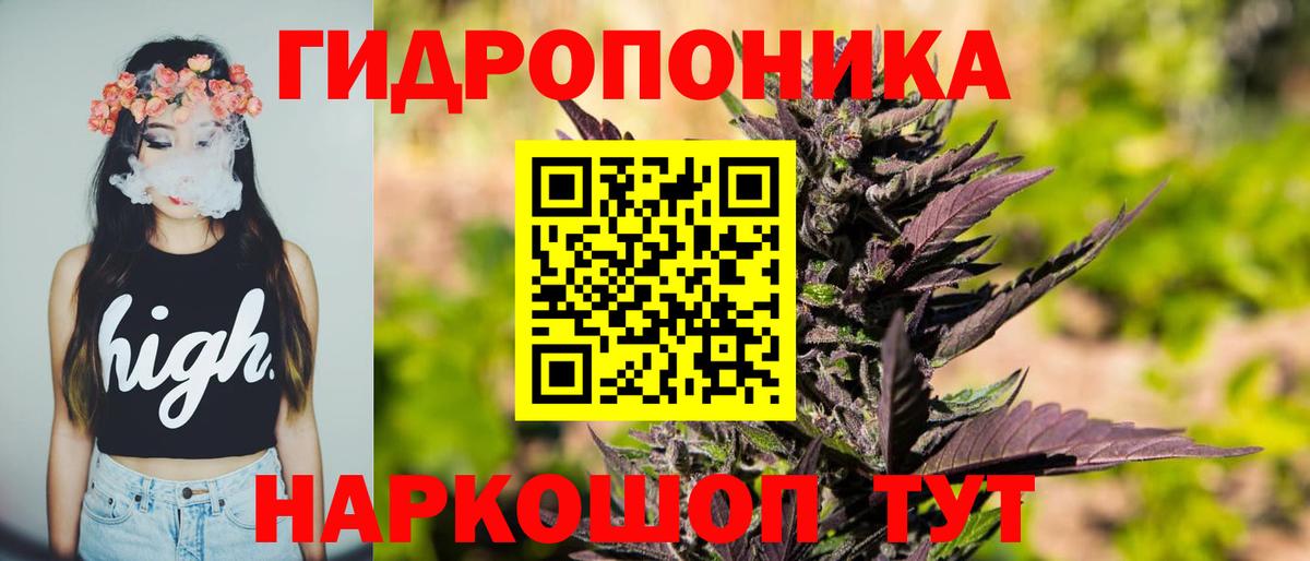 Конопля Bruce Banner Шарыпово